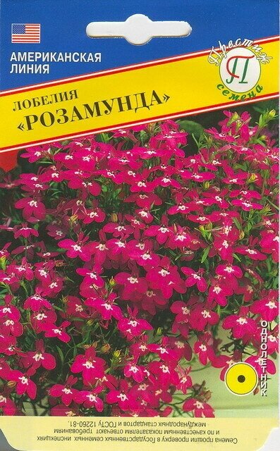 Лобелия Розамунда. Семена. Образует кустик высотой 13 см. и шириной 15-20 см усыпанный многочисленными цветками