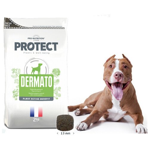 Сухой корм для собак Flatazor Protect Dermato (2кг)