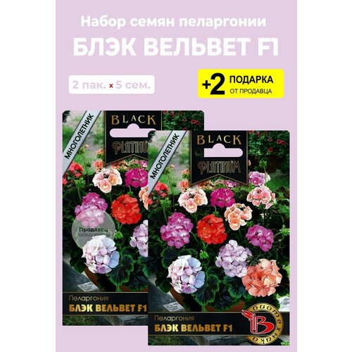 Семена цветов Пеларгония ( Герань ) 