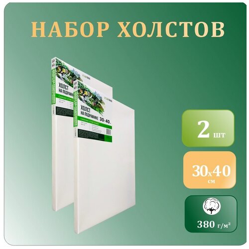 Грунтованный холст на подрамнике 30х40 см, 100% хлопок, 380 гр/м2, набор 2 шт, для художников и профессионалов