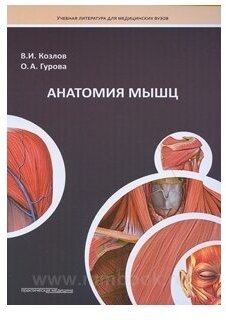 Анатомия мышц (Козлов Валентин Иванович, Гурова Ольга Александровна) - фото №2
