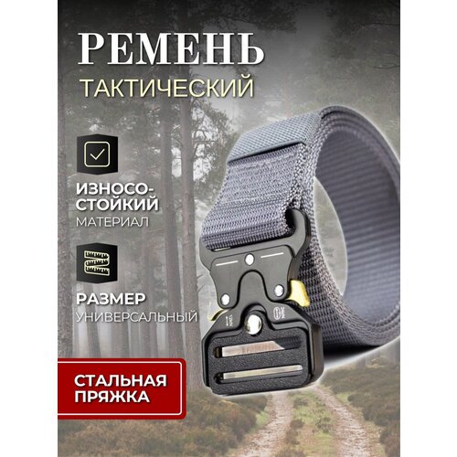 Ремень ТОРГОВАЯ ФЕДЕРАЦИЯ, размер 125, серый