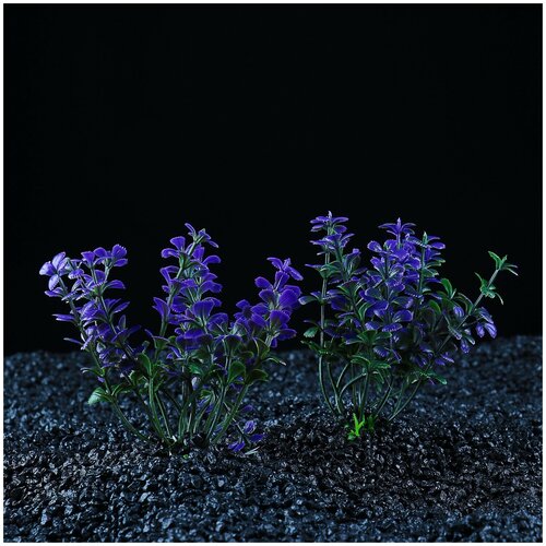 фото Набор растений искусственных для аквариума (2 шт), 10 см пижон aqua