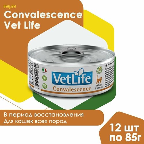 Влажный корм Farmina Vet Life Convalescence для кошек всех пород в период восстановления, Фармина Вет Лайф лечебный рацион со вкусом курицы, 12шт по 85г