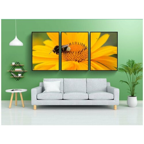 фото Набор модулных постеров для интерьера "пчела, цветочная пыльца, нектар" 60x90 см. в тубусе, без рамки lotsprints