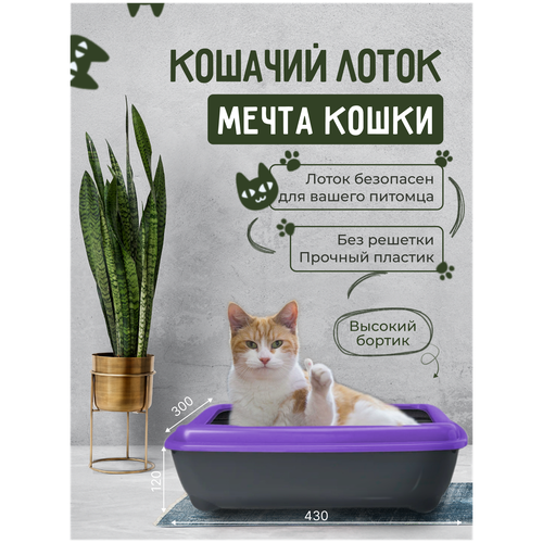 Кошачий лоток Мечта кошки Фиолетовый/черный кошачий лоток мечта кошки серый