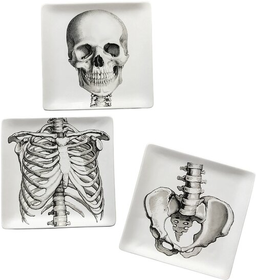Набор тарелок Скелет Set Of 3 Plates Sciences Nat