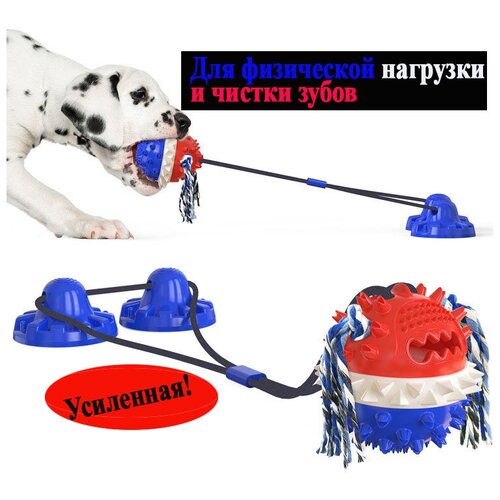 Жевательная игрушка для собак, мяч для зубов на верёвке с присосками