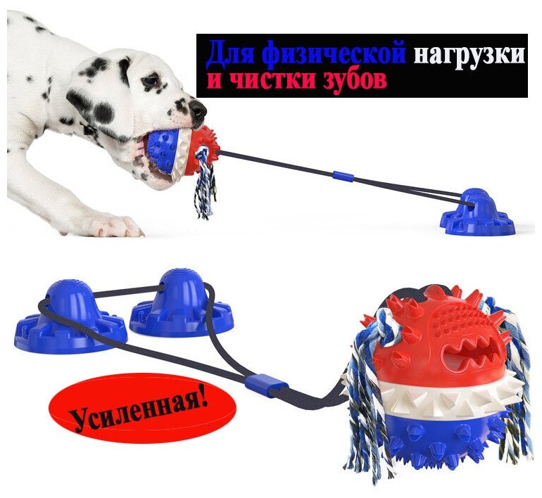 Жевательная игрушка для собак, мяч для зубов на верёвке с присосками - фотография № 1