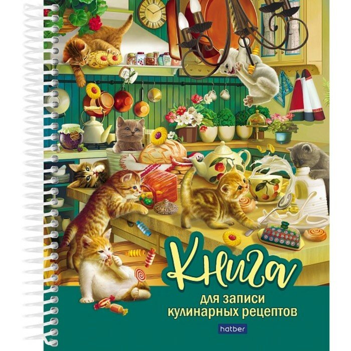 Hatber Книга для записи кулинарных рецептов А5, 80 листов на гребне "Котики бывают разными", твёрдая обложка, с разделителями, 5 цветов, блок 80 г/м2