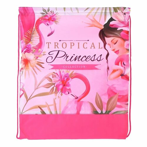 Сумка для сменной обуви Пчелка Фламинго и принцесса, розовая (СДС-3) карнавальная тиара принцесса розовая