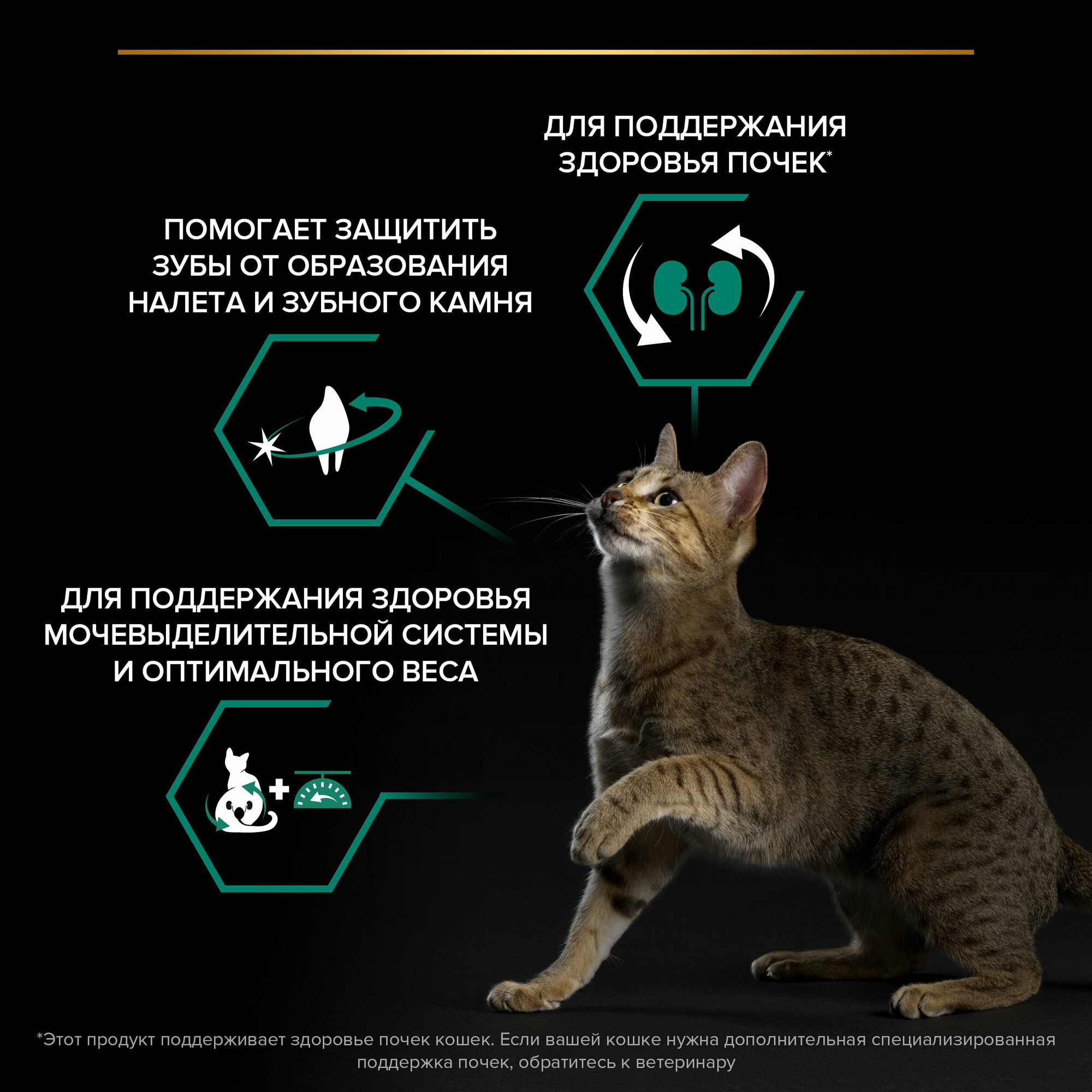 Сухой корм Pro Plan Sterilised для кошек с лососем 400 г - фотография № 4