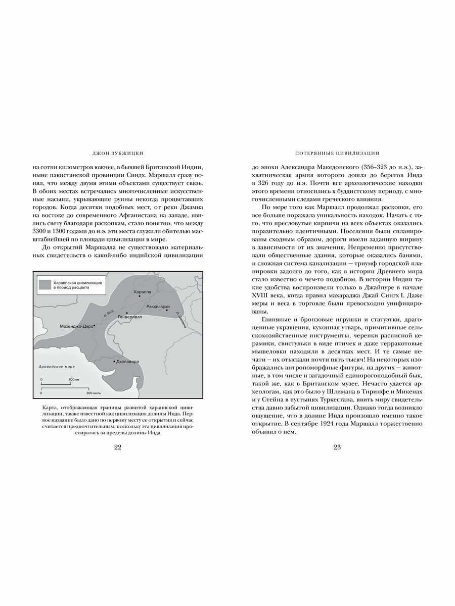 Краткая история Индии (Зубжицки Джон) - фото №14