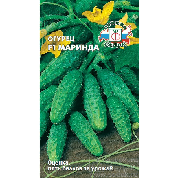 Семена огурца СеДеК  Маринда F1   гибридный сорт  раннеспелые