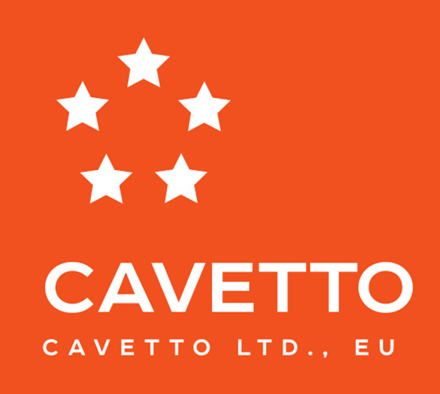 CAVETTO 210-1701210 Сальник МАЗ, урал КПП задний 2.2-70х92х10 Viton CAVETTO