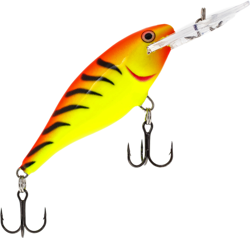 Rapala Shad Rap 07 HT