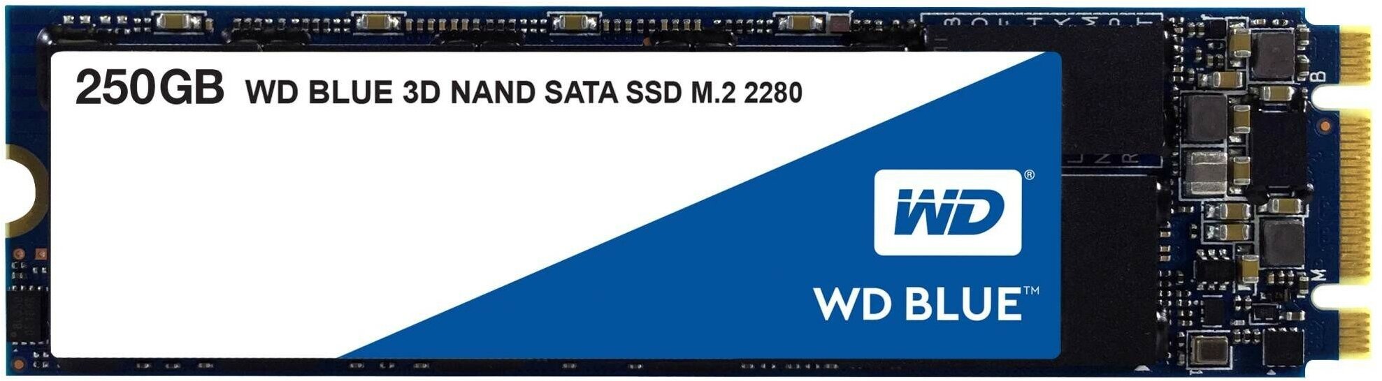 Твердотельный накопитель SSD Western Digital Blue SA510, 250GB, M.2(22x80mm), SATA3, R/W 550/525MB/s, IOPs 95 000/81 000, TBW 100, DWPD 0.2 (12 мес.) - фотография № 12