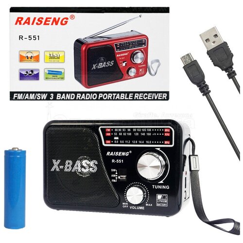 Радиоприемник Raiseng R-551 Black 80000₽
