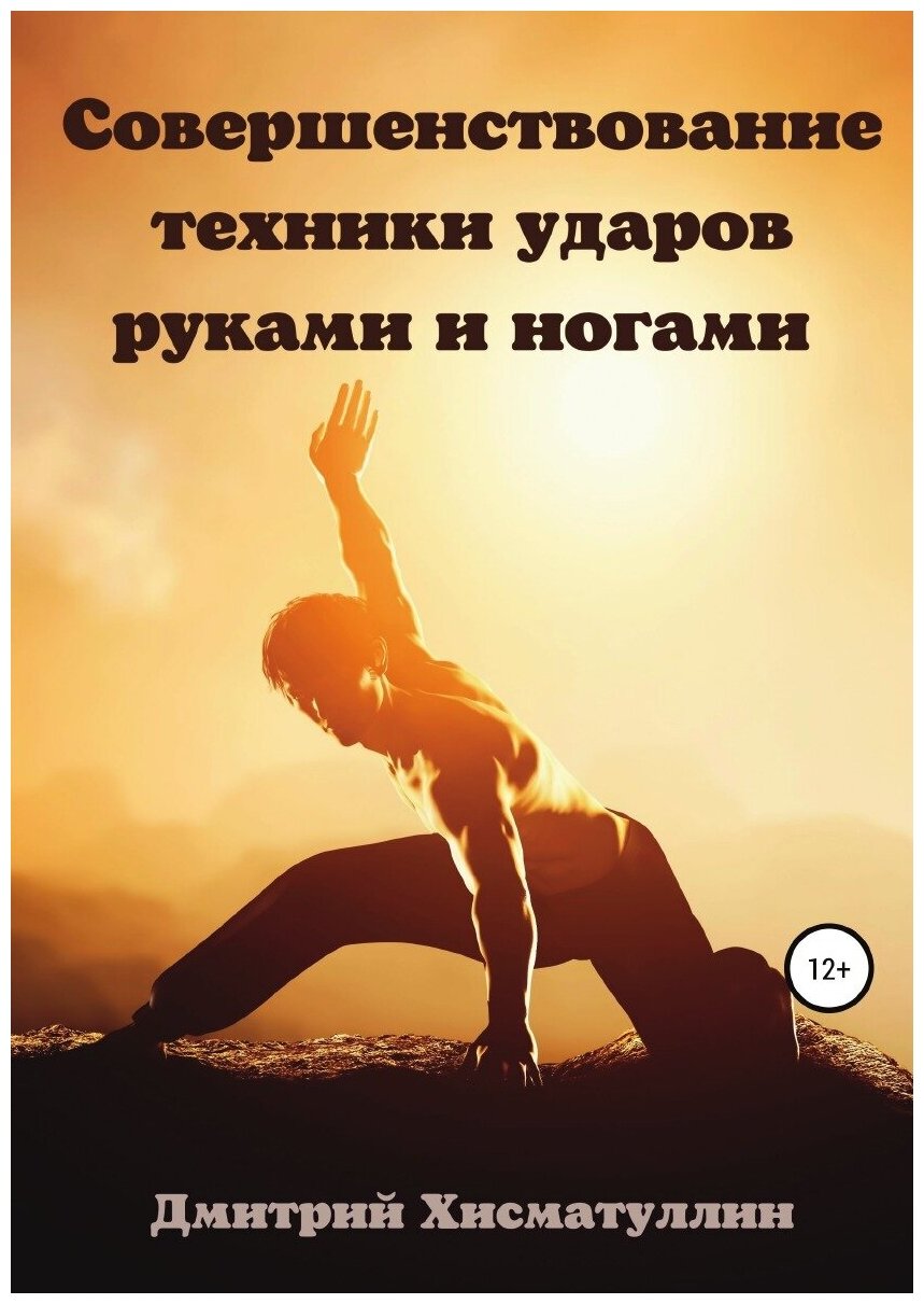 Совершенствование техники ударов руками и ногами - фото №1