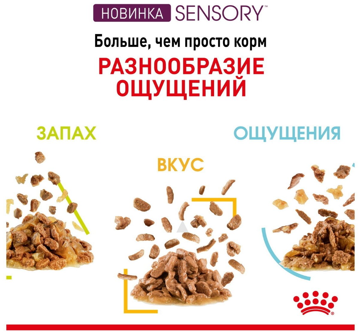 Влажный корм для кошек Royal Canin Sensory Smell стимулирующий обонятельные рецепторы 12 шт. х 85 г (кусочки в соусе) - фотография № 6