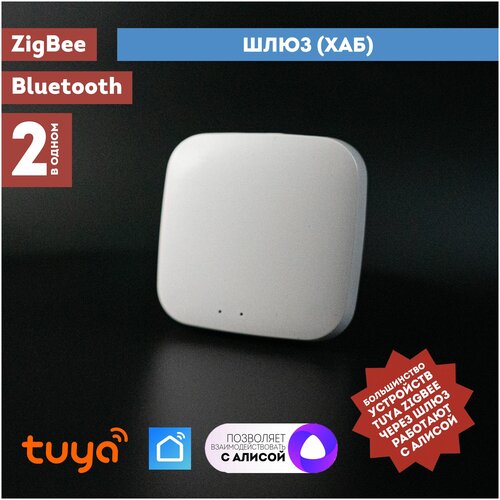 ZigBee + Bluetooth маршрутизатор (шлюз) для Умного Дома 10053