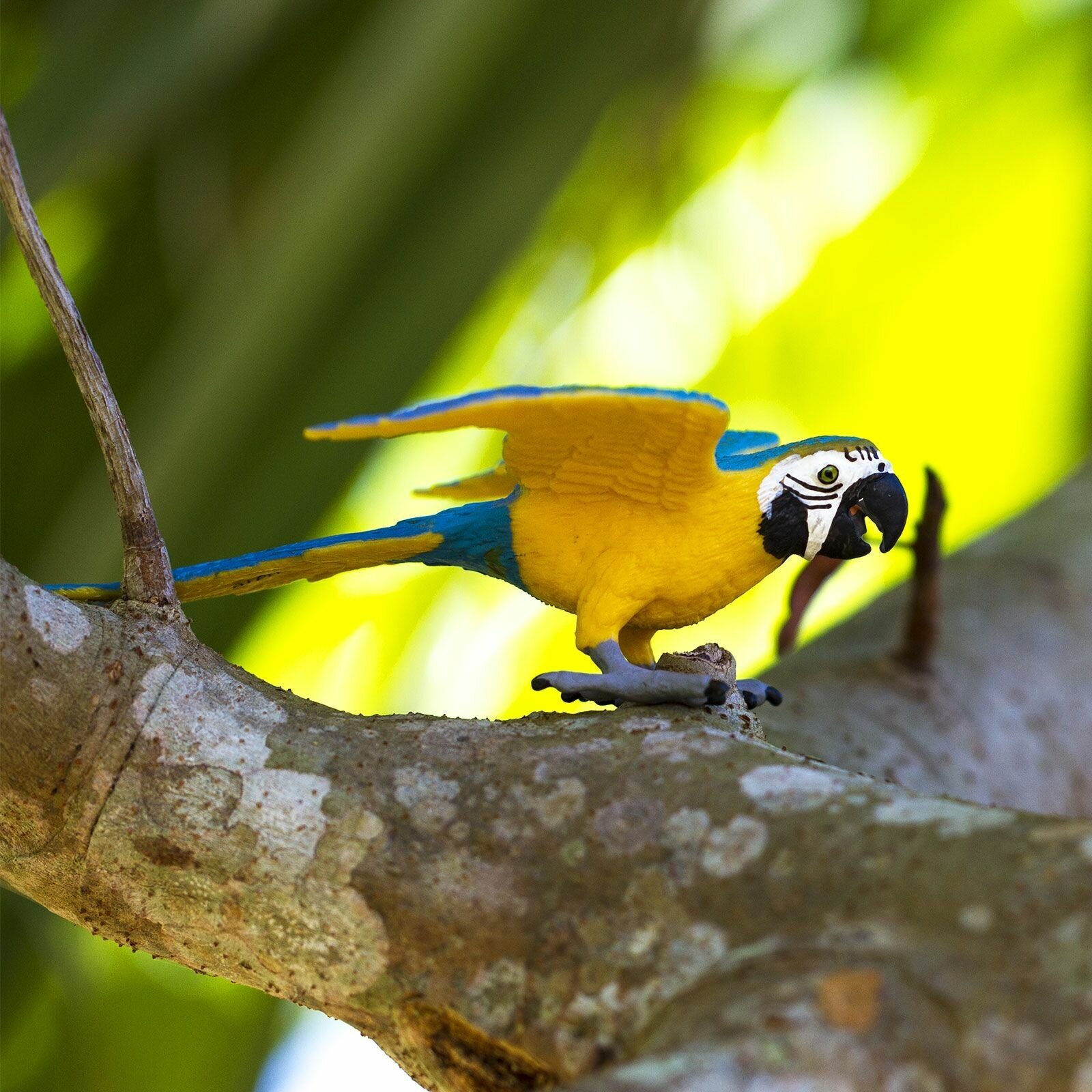 Фигурка птицы попугая Safari Ltd Сине-желтый ара, для детей, игрушка коллекционная, 264029