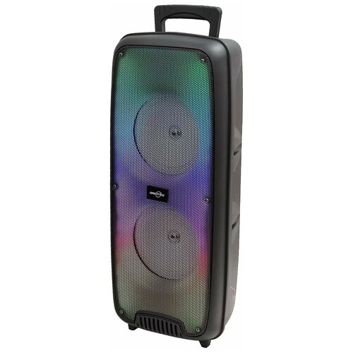 Активная напольная акустика GTSKTS-1625 Радио FM карт ридер подсветка динамиков 465600₽