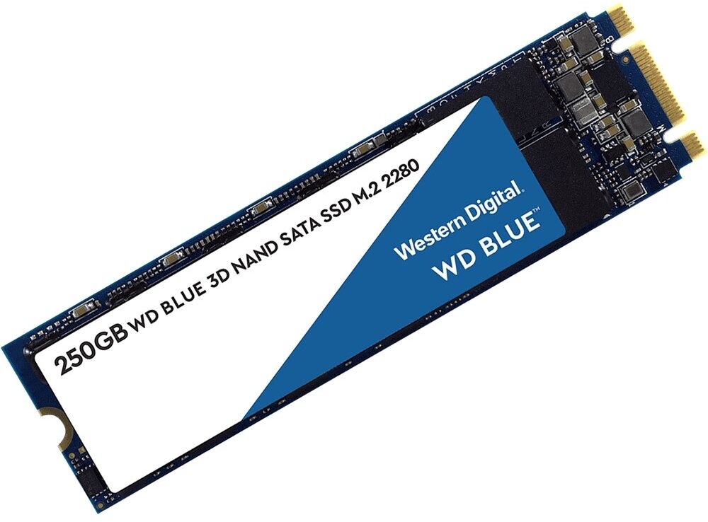SSD накопитель WD Blue SN550 250Гб, M.2 2280, PCI-E x4, NVMe - фото №4