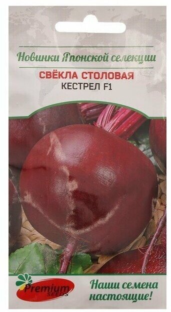 Семена Свекла 