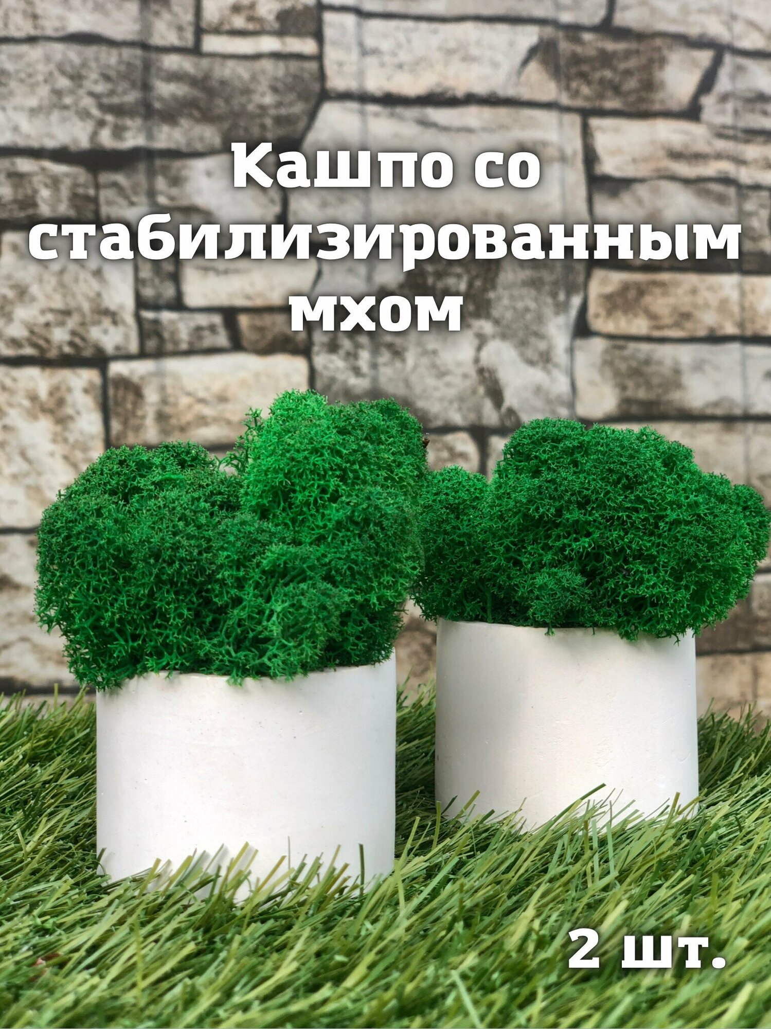 Кашпо со стабилизированным мхом 2 шт, Зеленый мох ягель, для декора дома, настольное украшение