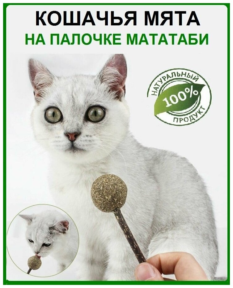 Кошачья мята на Палочке Мататаби, 1 шт