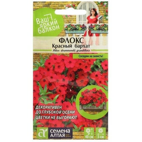 Семена цветов Флокс Красный Бархат, Друммонда 0,1 г 4 упаковки
