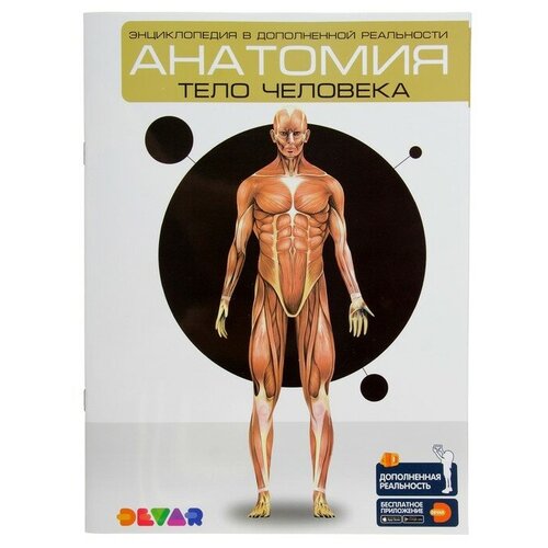 Издательство «Devar» Энциклопедия 4D в дополненной реальности «Анатомия: тело человека»