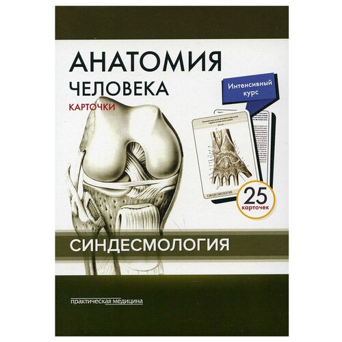 Сапин Михаил Романович "Анатомия человека. Синдесмология (25 карточек)" картон