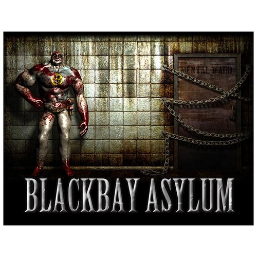 Blackbay Asylum электронный ключ PC Steam