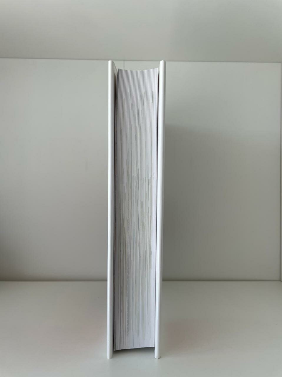 Книга Стивена Райклэна «Как делать гриль», 530 стр, твёрдый переплёт, 2017 г — фото 1