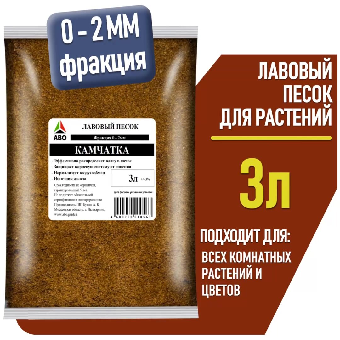 Жағажайдағы нудистер онлайн секс