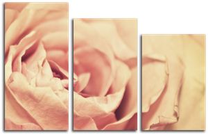 Модульная картина "Бутон розы"