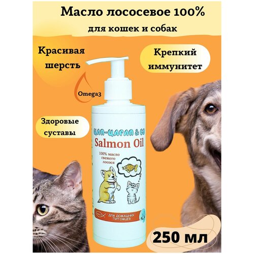 100% масло лосося для собак и кошек/ Цап-царап & Co Омега 3/ Кормовая добавка для животных лососевое масло 250 мл рыбий жир для кошек и собак лососевое масло