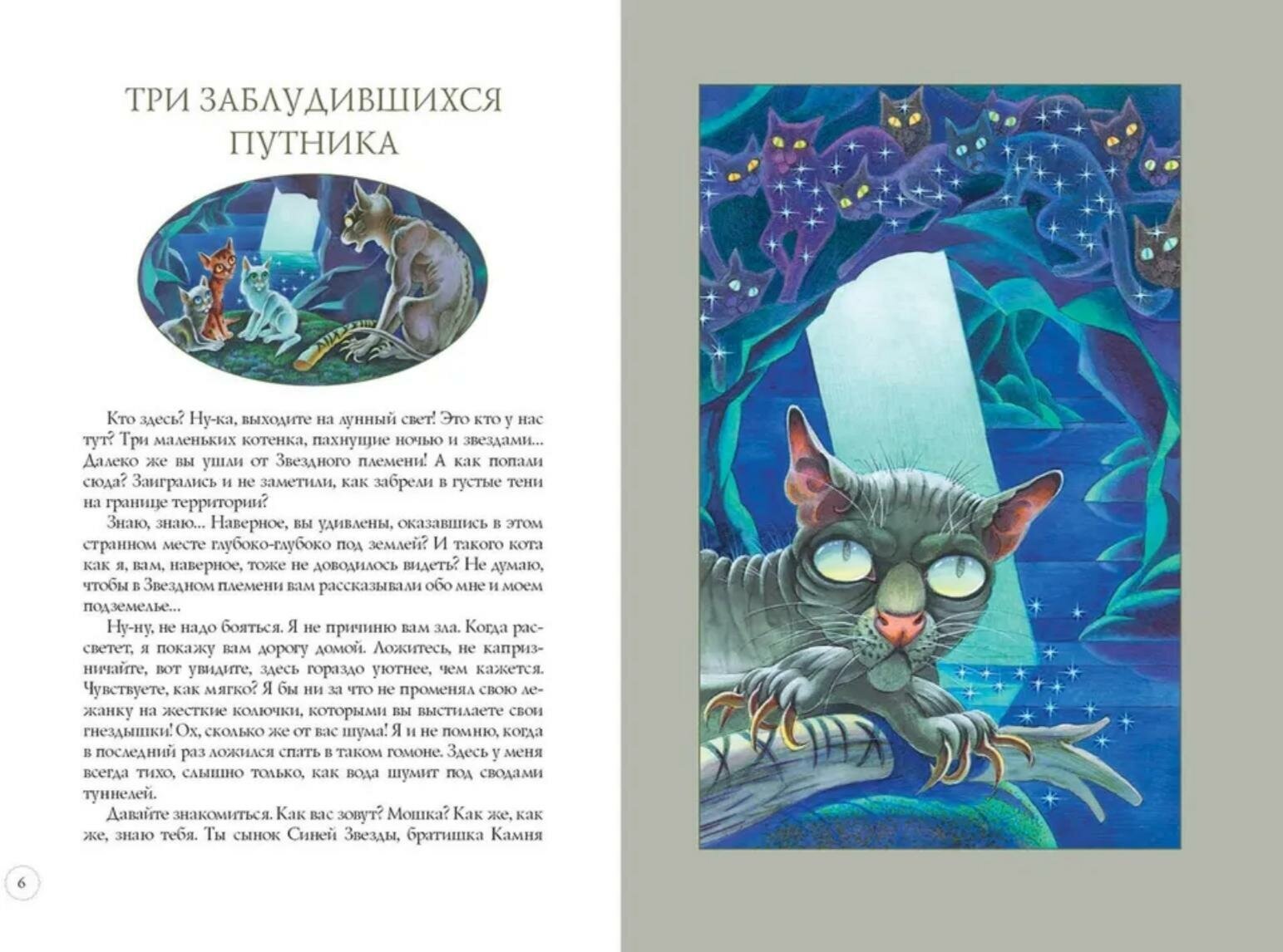 Книга Герои племен Хантер Э. (Хантер Эрин) - фото №3