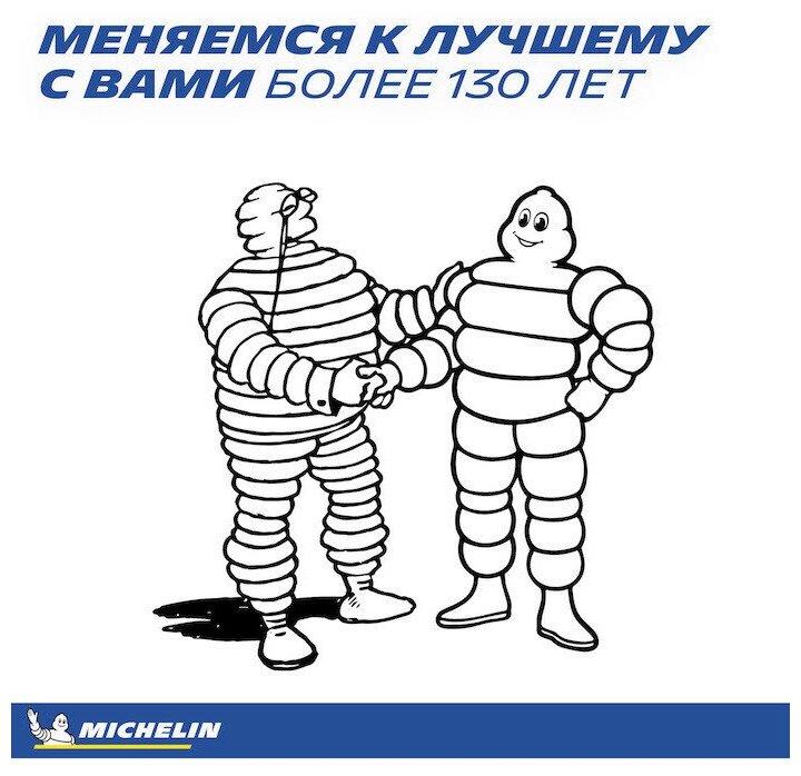 Автомобильная шина Michelin - фото №14