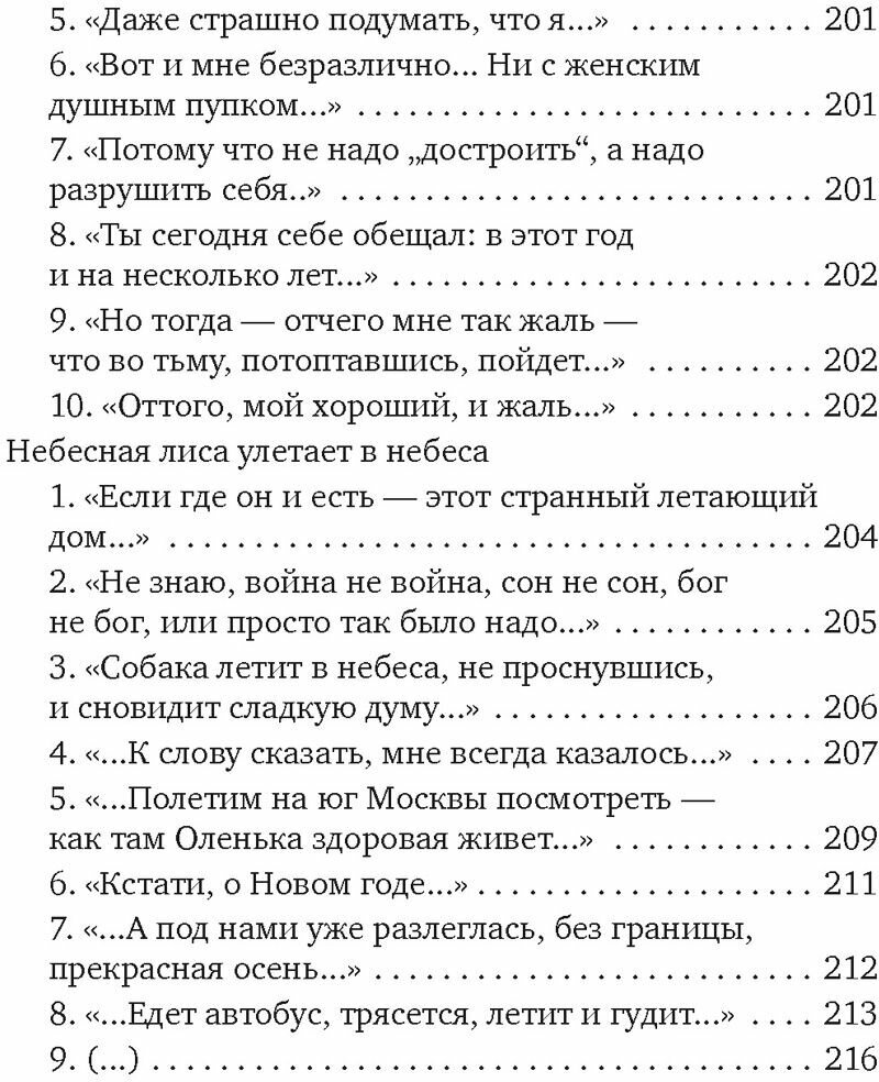 Небесная лиса (Воденников Дмитрий Борисович) - фото №11