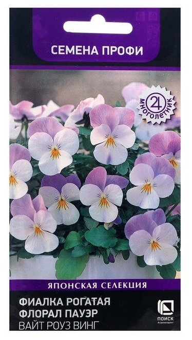 Семена цветов Фиалка "Флорал Пауэр Вайт Роуз Винг", 10 шт