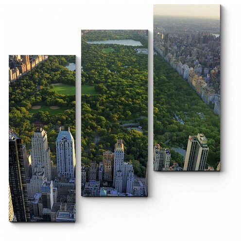 Модульная картина Центральный парк с высоты птичьего полета 90x96