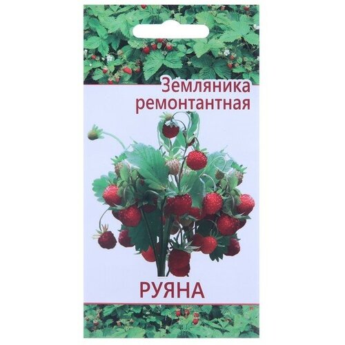 Семена Растет дома и на даче Земляника Руяна 10 шт пробник массажного масла с ароматом земляники eros fantasy 4 гр