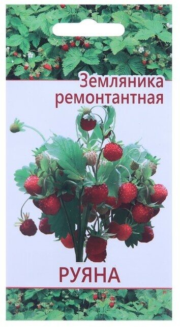 Семена "Растет дома и на даче" Земляника Руяна 10 шт