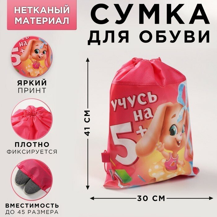 ArtFox STUDY Сумка для обуви «Учусь на 5+», 41х30х0,5 см