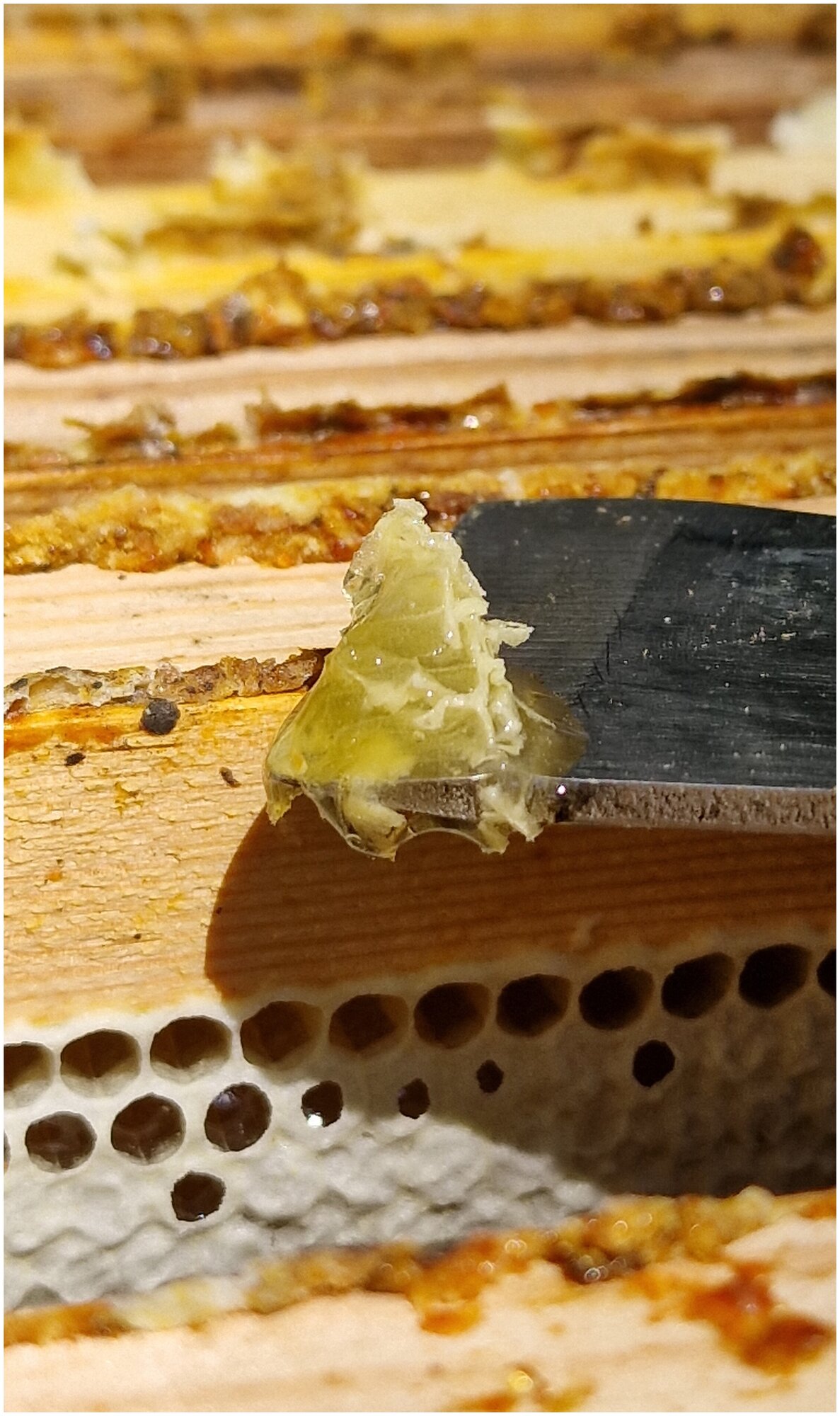 Мёд цветочный натуральный липовый 0,5 кг. / урожай 2022 года / ГОСТ / Honey day - фотография № 8