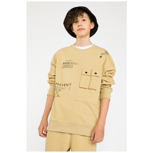 фото Толстовка для мальчика (размер: 158), арт. 223-0550b-13-299-1, цвет бежевый reporter young