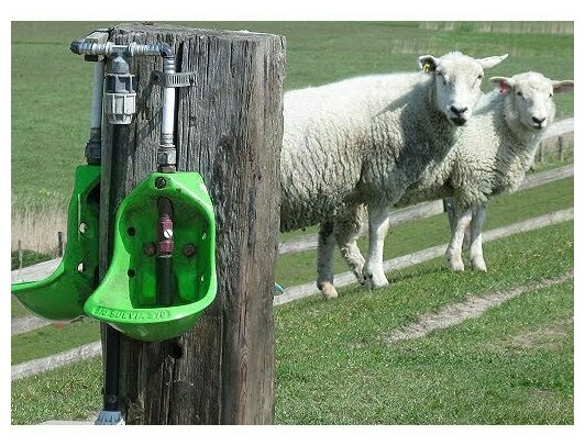 Ниппельная поилка для коз и овец НП34 / Автопоилка для коз, для овец НП34 - фотография № 11